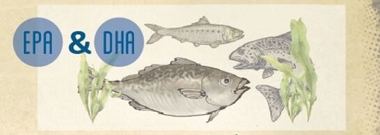 marine omega-3 fettsäuren