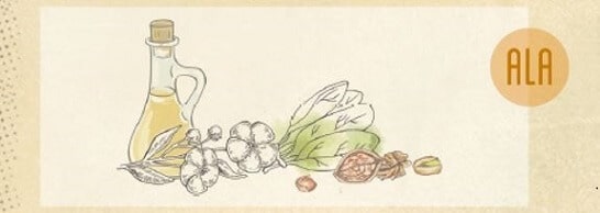 pflanzliche omega-3 fettsäuren