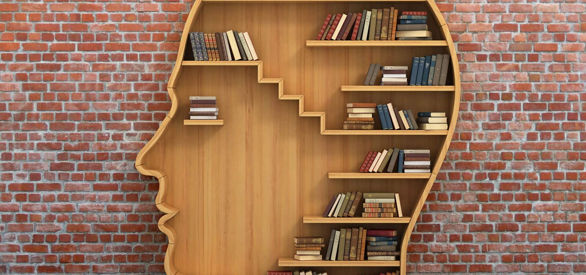 norsan bibliothe bücher kopf kunst handwerk